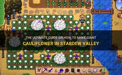 giant cauliflower stardew|Iba pa.